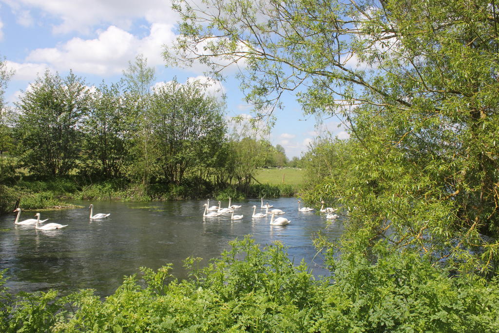 The Swan At Stoford Hotel Stapleford  Ngoại thất bức ảnh